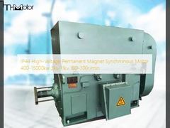 IP44 Hochspannungs-Dauermagnet-Synchronmotor 400-15000kw 3kv-11kv 100-300r/min