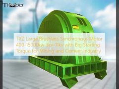 TXZ Großes Bürstenloses Synchronmotor 400-15000kw 3kv-11kv mit großem Startdrehmoment für die Bergbau- und Zementindustrie
