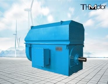 IP23 energiesparendes lärmarmes 100rpm 3000rpm zu den Hochspannungselektromotoren 50Hz 10KV