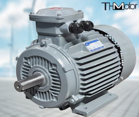 GB30254 Druckfeste Hochspannungs-Elektromotorpumpe IP65 165kW