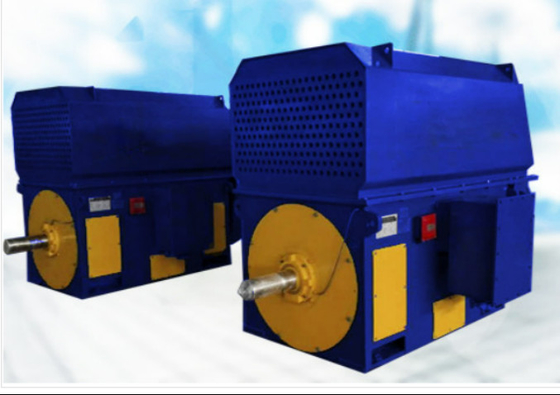 TMW schwanzloser Wechselstrom-Synchronmotor-großer Umfang 300r/Min 10 KV-Iec GB