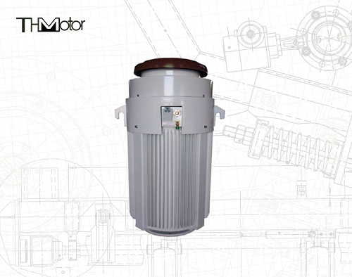 IE2 0-40C Motoren für spezielle Anwendungen 600V 600PS für Temperaturbereiche