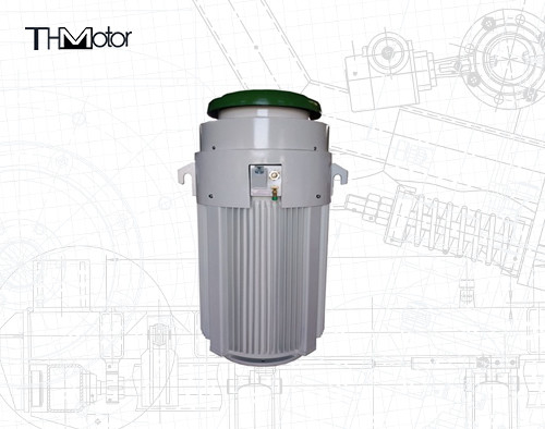 IE2 0-40C Motoren für spezielle Anwendungen 600V 600PS für Temperaturbereiche