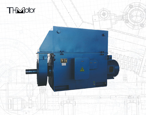 Schwerlastdreiphasiger Induktionsmotor mit Schutzklasse IP44/IP54/IP55