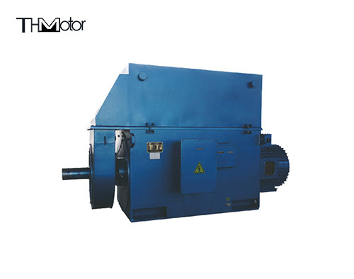 Schwerlastdreiphasiger Induktionsmotor mit Schutzklasse IP44/IP54/IP55