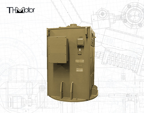 6000V Wasserpumpe Drehstrom-Asynchronmotor 12-polig