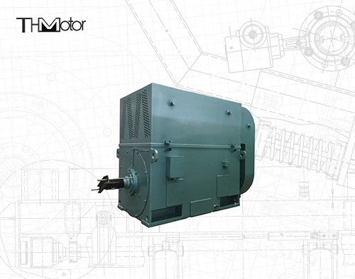 Y630-12 3 Phasen-asynchroner Kurzschlussinduktions-Motor 710kw 496rpm
