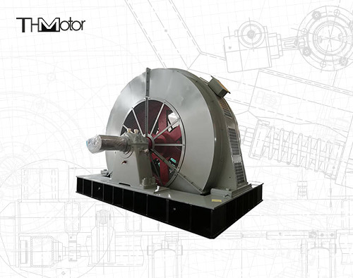 IP55 AC-Synchronmotor mit 4 Polen und IEC-Standard-Bergbau