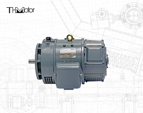 Reihe CER-Iecs Z2 kleine Hochspannungs-kleine DC-Motoren DC-Motor 115v 220v z2