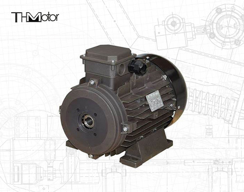 Leistung Hohlwelle/Festwelle IP54/IP55 Spannungs-Gleichstrommotor für industrielle Anwendungen