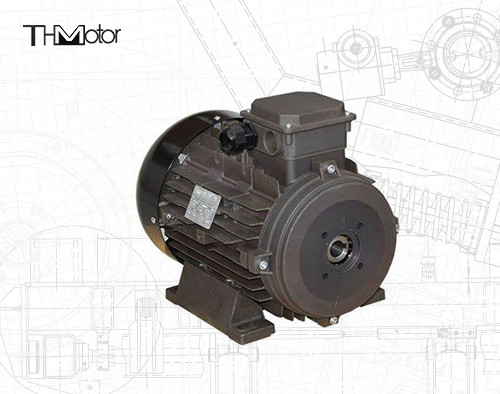 Leistung Hohlwelle/Festwelle IP54/IP55 Spannungs-Gleichstrommotor für industrielle Anwendungen