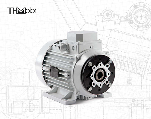1000-12000kw 4/6 Pole Spannung Gleichstrommotor Hohlwelle/Festwelle für Schwerlastanwendungen