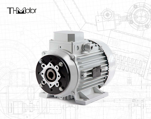 1000-12000kw 4/6 Pole Spannung Gleichstrommotor Hohlwelle/Festwelle für Schwerlastanwendungen
