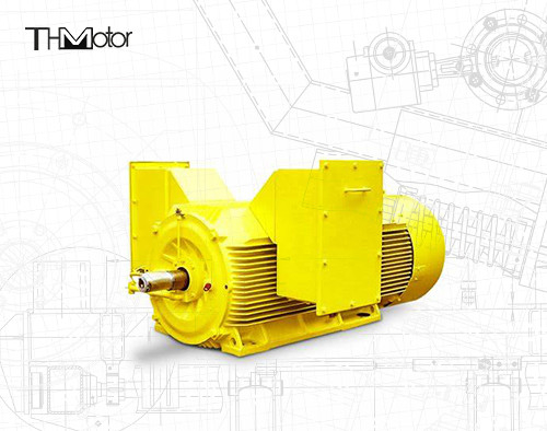 20P 3 Phasen-flammenfester Kurzschlußelektromotor 5600KW