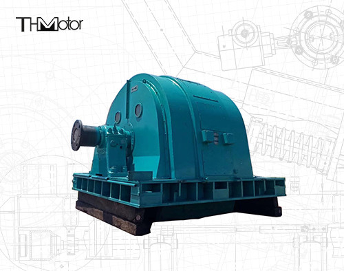 TAW-Bergbau-Mühlgroßer schwanzloser Synchronmotor IP44 IP54 IP55