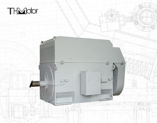 50 Hz Eichhörnchenkäfigmotor mit 100 mm Welle für kontinuierlichen Betrieb von 3000 Dreh/min