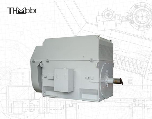 50 Hz Eichhörnchenkäfigmotor mit 100 mm Welle für kontinuierlichen Betrieb von 3000 Dreh/min