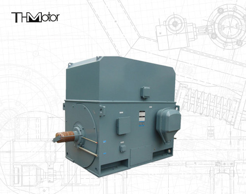 Industrie-Eichhörnchenkäfig Elektromotor 3000RPM 1250KW 142A IP55 kontinuierlich S1
