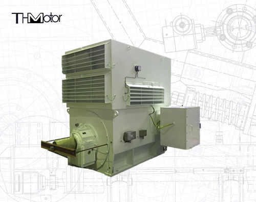 Dreiphasige Induktionsmotoren der WPI-Serie WPII für industrielle Verwendung