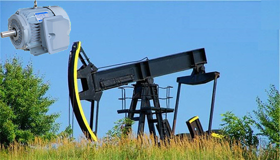 Beleg-Induktions-Motor IP55 NEMA erstklassiger drehmomentstarker hoher für Ölquelle-Pumpe
