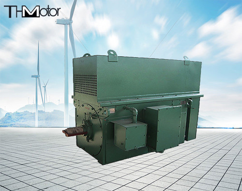 Kohlenasynchrone dreiphasighochspannungs-Elektromotoren 900kw 1250kw Y900 Y1000