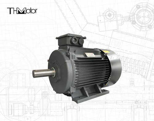 GB30254 Druckfeste Hochspannungs-Elektromotorpumpe IP65 165kW