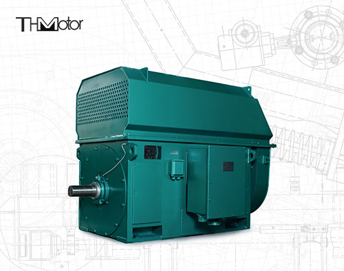 HochspannungsElektromotor IP44 IP54 Wechselstroms elektromotors 600kw 700kw 800KW 10000V 2978rpm YKK