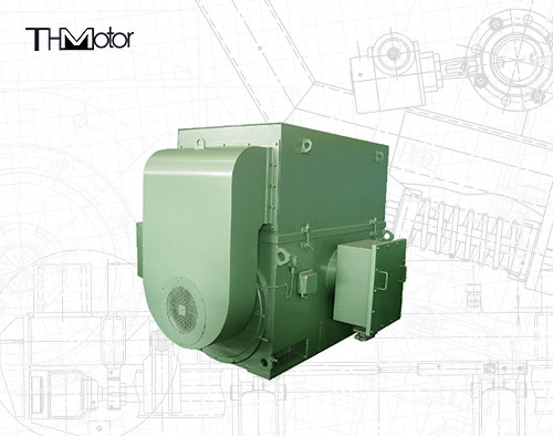 Dreiphasenasynchronmotor IP55 der variablen Geschwindigkeits-11000v