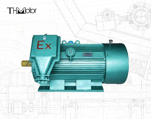 6-poliger, explosionsgeschützter Drehstrom-Asynchronmotor 10000V